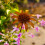 Traditional Container Outdoor Feature Stake Nature Aware 6