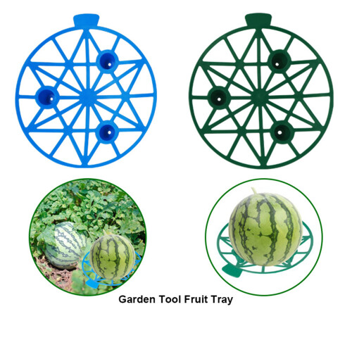 Ventilated Pumpkins Holder Tray Customizable Gardening-Blue 1