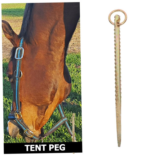Ground anchor for secure fastening, durable for a and controlled environment. 2