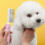 Flea Comb Pink 4