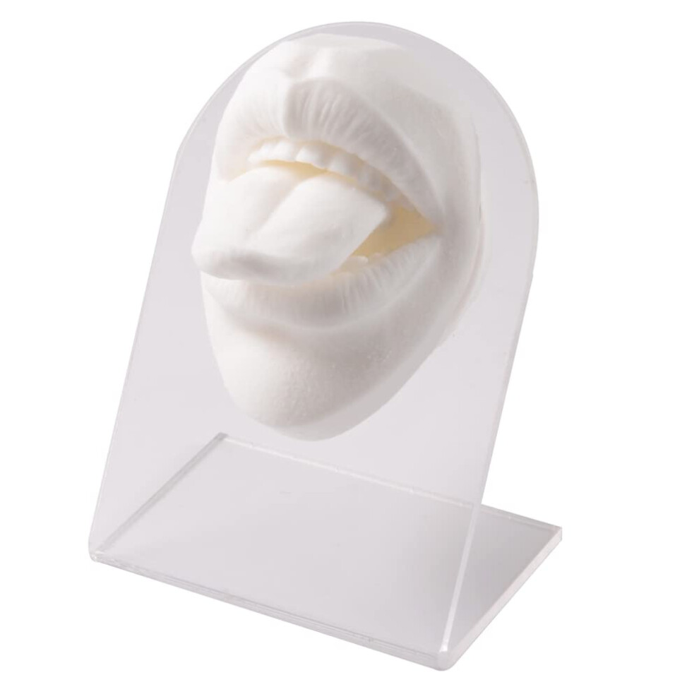1 x Silicone Mouth Model Tattoo Exercise Simulation Human Body Part Display Lip Teeth Tongue Piercing Jewelry