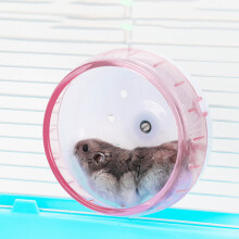 Hamster-Übungsrad, leise, interessantes Laufrad