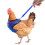 Comfortable Hen Vest for Training and Walking, Blue, Size L 1