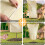 Essential Outdoor Plant Protect Beige-60X80 5