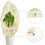 Essential Outdoor Plant Protect Beige-60X80 7