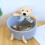 Cute Animal Pattern Storage Basket Stylish-pink bear large 3