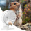 Hamster exercise wheel, transparent spinner, height adjustable, acrylic gerbil toy 2