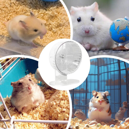 Hamster exercise wheel, transparent spinner, height adjustable, acrylic gerbil toy 2