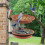 Plastic Bird Feeder Double Deck Design for Garden Wildlife 2