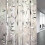 Energy Saving Window Cling, Bamboo Patterned Privacy Protection Removable Static Adhesion Heat-Control for Home Decor 1