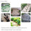 Creative Garden Pathway Maker, Durable and Reusable Polypropylene Pavement Molds for Easy Pavement Making, Decorative Cement or Concrete Use Ideal 6