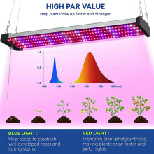 Lâmpada LED de espectro completo vermelho e azul para crescimento de plantas, lâmpada LED altamente eficiente em termos de energia para todas as