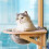 Cat Bed Window Space Capsule Style Window Hammock Perch For Large Cats 1