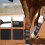 Horse Boot Leg Wrap Protector, Professional TearResistant Brace for Training 2