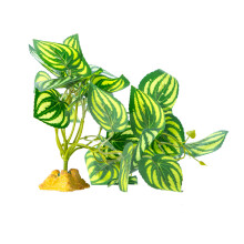 Simulation Resins Reptiles Plant Grass Handicraft-FZY03