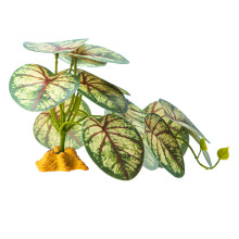 Simulation Resins Reptiles Plant Grass Handicraft-FZY01