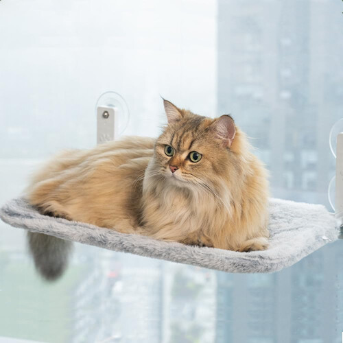 Foldable Cat Hammock Window Bed Cat Window Perch With Strong Suction Cups Sunny Window Seat