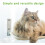 Foldable Cat Hammock Window Bed Cat Window Perch With Strong Suction Cups Sunny Window Seat 3
