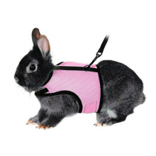 Rabbit Harness with Lead, XL Size for Small Pets, Ideal for Training, Comfortable and Material, Accessory for...