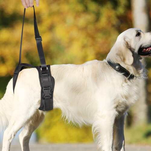 Adjustable Dog Lift Harness Leg Support Strap Dog Injuries-L 9 2