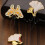 Chinese Styles Leaf Needle Threader Easy to Insert-Phalaenopsis 4