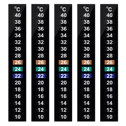 10 traditionele plakbare temperatuurstrip celsius