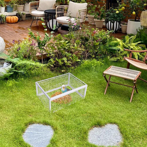 Pigeons Cage Automatic Sparrow Catcher EscapeProof Iron Trap 4Way Entry Foldable Cage For Macaws Parakeets Sparrows 1
