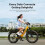 ENGWE Bicicleta elétrica VTC - ENGWE - E26 ST - 26 polegadas - Motor 250W - Autonomia 140km - verde 6