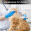Rechargeable Dog Nail Grinder  Compact Grooming Tool for Small Pets 5