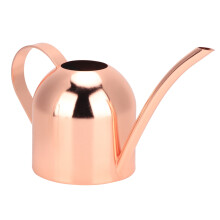 Rose Gold Mini Watering Can, Compact Design Stainless Steel Indoor Watering Can 500ml