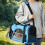 Breathable pet carrier bag in blue 2