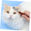 Pet Mini Comb, Ergonomic Cat Comb, Multifunctional Cat Comb, Professional Cat Comb, Portable Cat Comb, Practical Multifunctional Comb 4