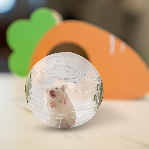 Hamster Running Ball  Safe Dwarf Hamster Balls, Pet Play Accessories 1