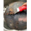 User-Friendly Design Ergonomic and Comfortable Grip for Hassle-Free Cleaning Experiences 6