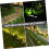 solar LED string lights backyard lamp solar outdoor wall light exterior solar lights 5