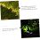 solar LED string lights backyard lamp solar outdoor wall light exterior solar lights 3