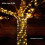 Charming Lighting Remote Control & Timer, Waterproof Outdoor Christmas Solar Lights, Flexible 33FT Copper String Lights with Versatile Use 2