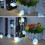 10 LEDs Φωτιστικά σε Κορδόνι για Εσωτερική Χρήση, Αδιάβροχα Φωτιστικά Νεράιδας που 4