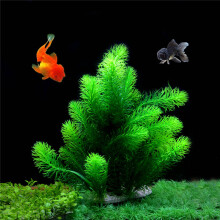 DurableTankDecor, NonFadingAquariumGrass - LifelikeAquaticDecor, HealthyAquariumEnvironment, MaintenanceFreeAquariums, EverlastingAquaticScenery For
