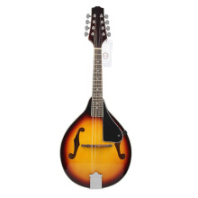 Professional Mandolin Instrument Tuolin Sunset EightString National Instrument Mandolin with Backpack and Tools