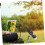 Digital Resolution USB Microscope, Portable Electron Microscope for Nature Enthusiasts with Adjustable Viewing Angle 4