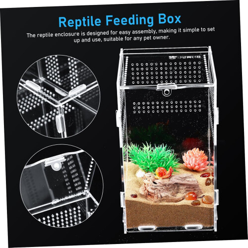 Jumping Spider Enclosure Set Acrylic 1