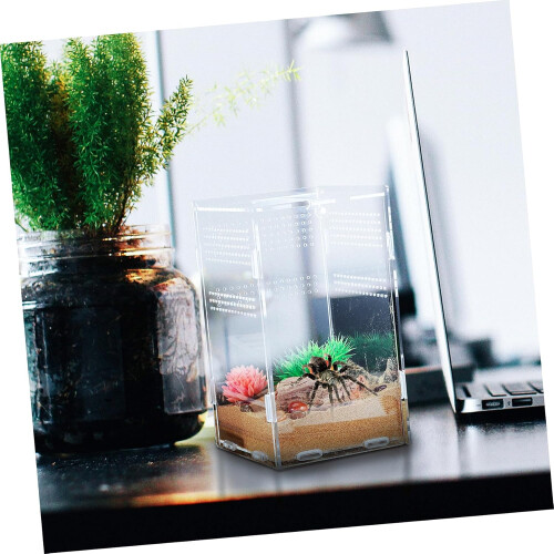 Jumping Spider Enclosure Set Acrylic 2