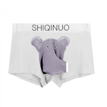 Silver Gray 2XL Men's Trunks Underwear Boxer Briefs Breathable Elephant Nose Mesh Pouch Panties