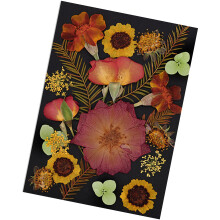 Dried Flower For Bookmarks Jewelry Making Natural Pressed-Retro