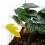 Artificial Colorful Water Plant for Decorating Fish-Style 1 6