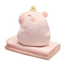Comfortable Capybara Pillow Blanket for Children Teens for-B 2