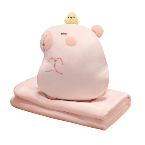 Comfortable Capybara Pillow Blanket for Children Teens for-B 2