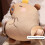 Comfortable Capybara Pillow Blanket for Children Teens for-B 2 3