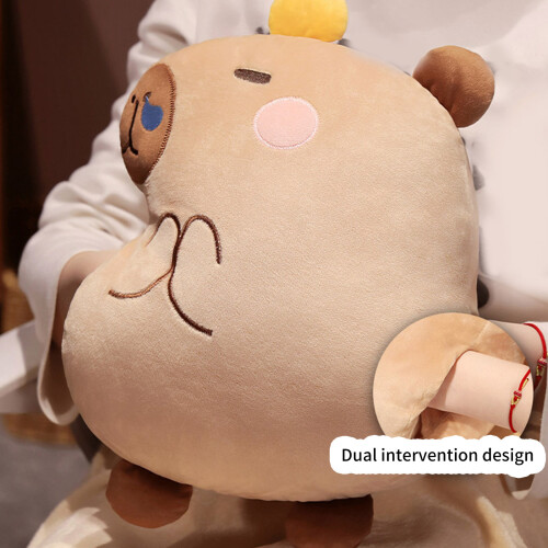 Comfortable Capybara Pillow Blanket for Children Teens for-B 2 2
